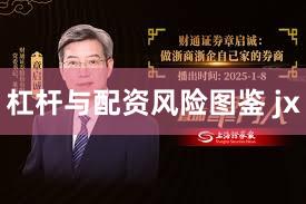 杠杆与配资风险图鉴 jx
